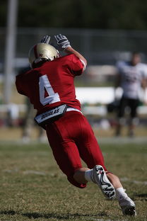 开云电竞登录入口-德甲球队休赛期集训方式对开局表现影响，德甲青训规则